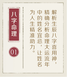 嵊州起名流程一